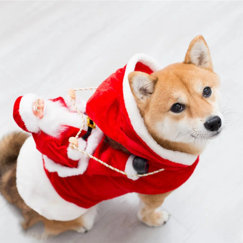 Holiday Dog Costume featuring Santa Claus